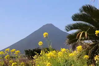 春の山