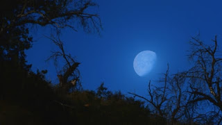 blue moon