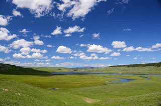 field